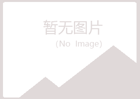 白银平川寒珊会计有限公司